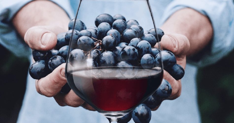Cand se face tragerea vinului de pe drojdie?