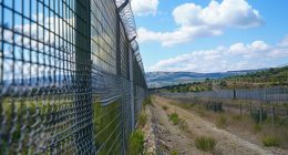 Care este durata medie de viață a plasei de sârmă galvanizate